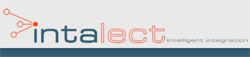 Intalect - Logo