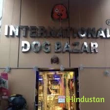 International Dog Bazar - Logo