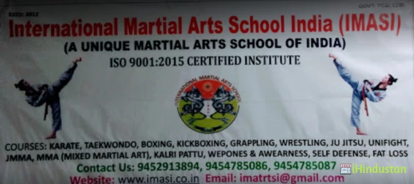 International Martial Arts School - Logo