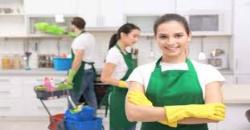 International Maid Services - Logo