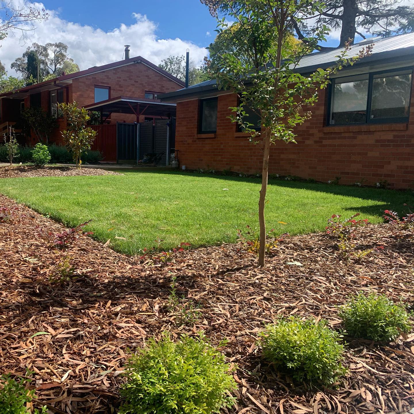 In The Yard - Cover photo