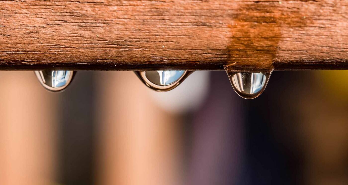 Irrigation Zen - Cover photo