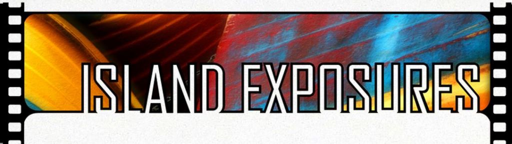 Island Exposures Art Gallery - Logo