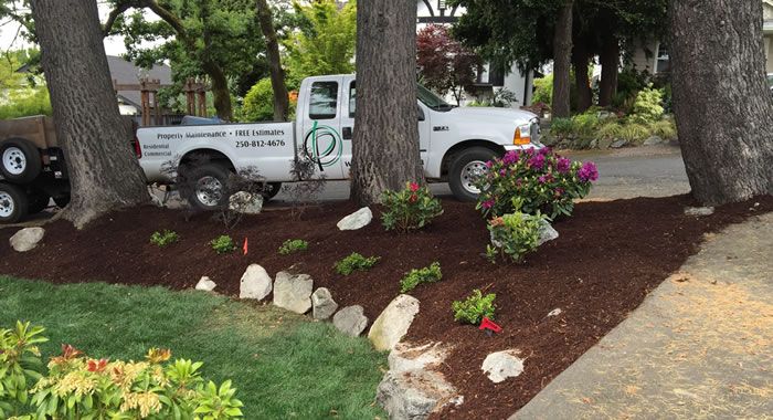 Island Pro Mowing and Landscaping Inc. - Logo