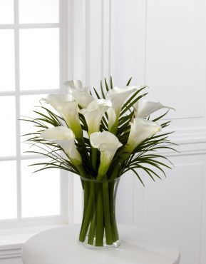 Ital Florist Ltd. - Cover photo