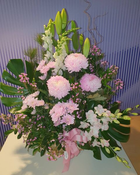 Ivy Lane Flowers & Gifts Hospital Florist - Logo