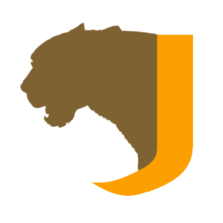 Jagwill Solutions Inc. - Logo