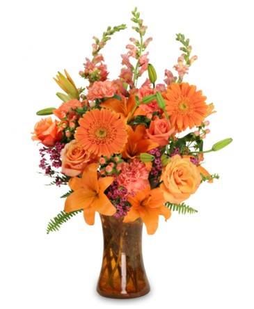 J &a; J Florist - Logo
