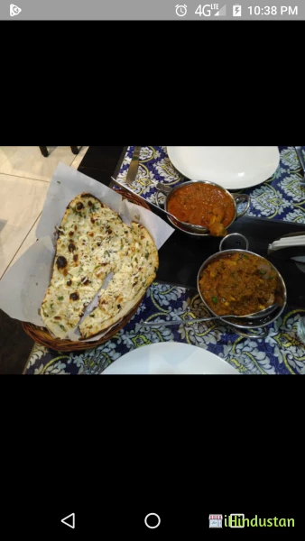 Jal Mahal Restaurant Jaipur - Logo