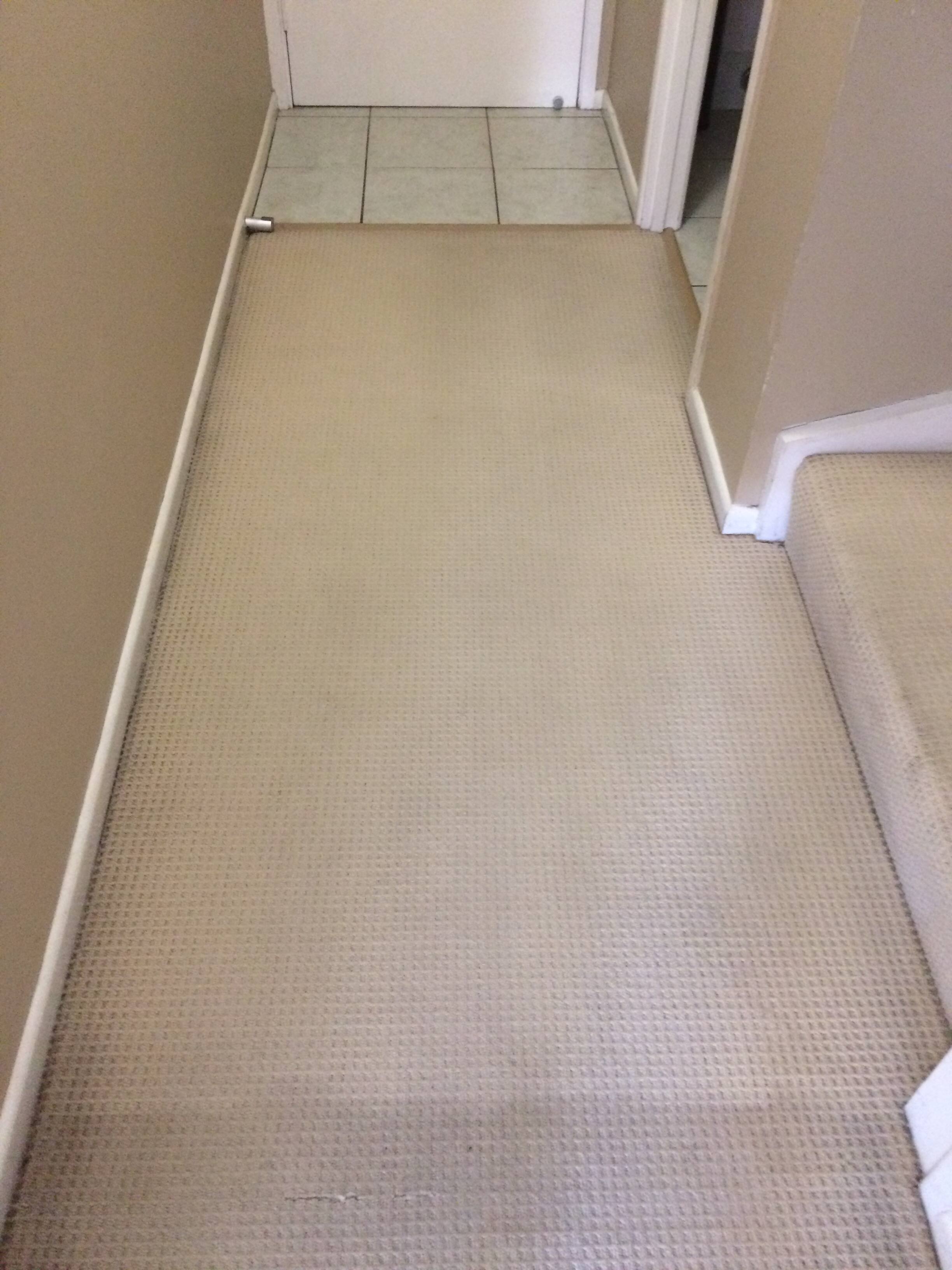 James Carpet Cleaning and Pest Control - Cover photo