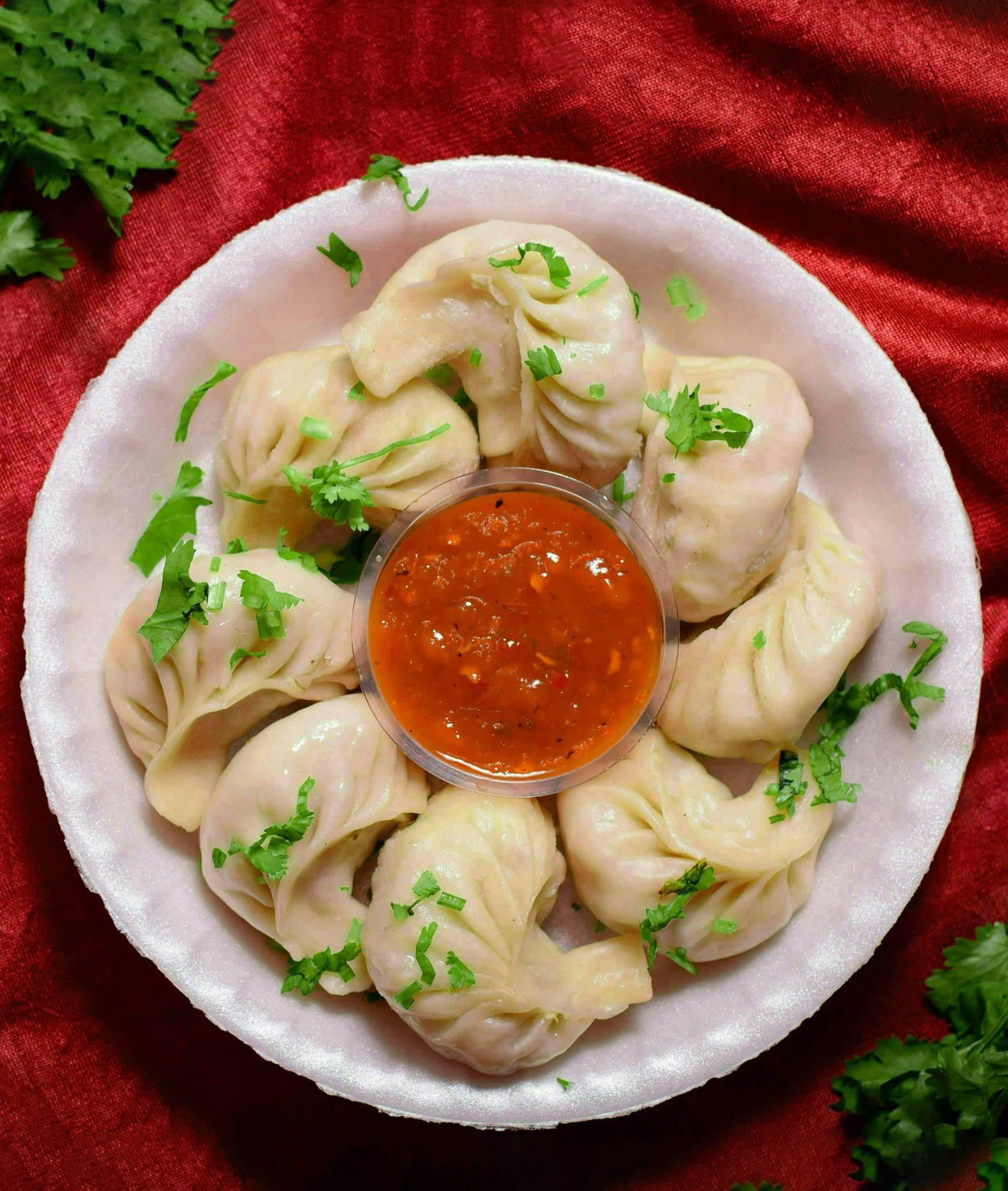 JANAK MOMOS - Logo