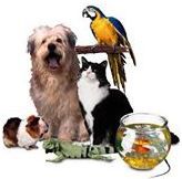 Jane&s;s Pet Care Services - Logo