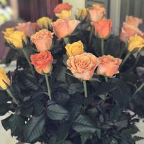 Janine Florist - Logo