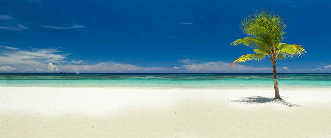 Janvi Tours And Travels - Cover photo