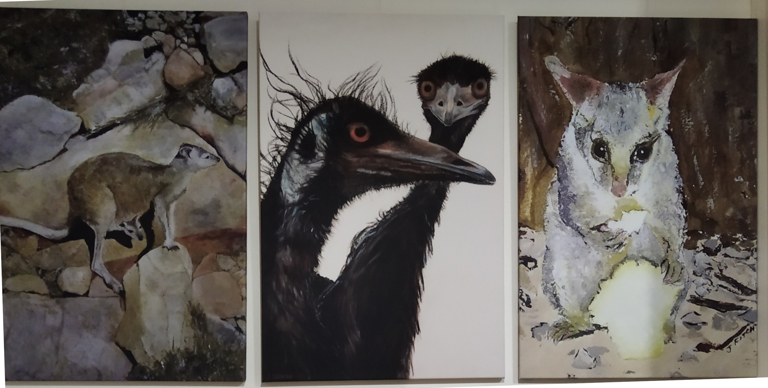 JAPOD Frames - Cover photo