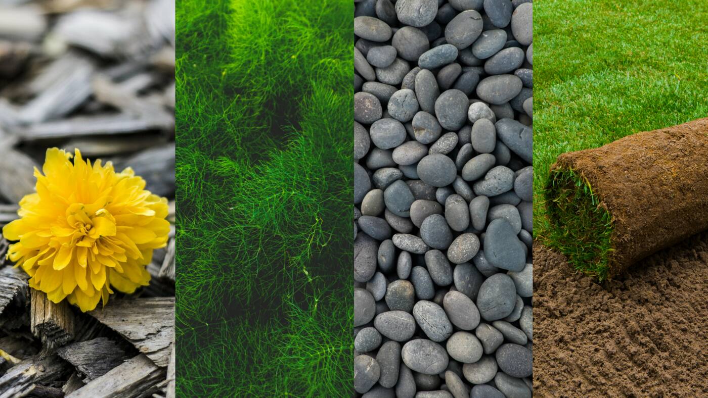 Jasmine Landscapes - Logo