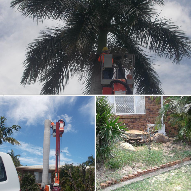 Jay & S Tree & Garden Services - Logo