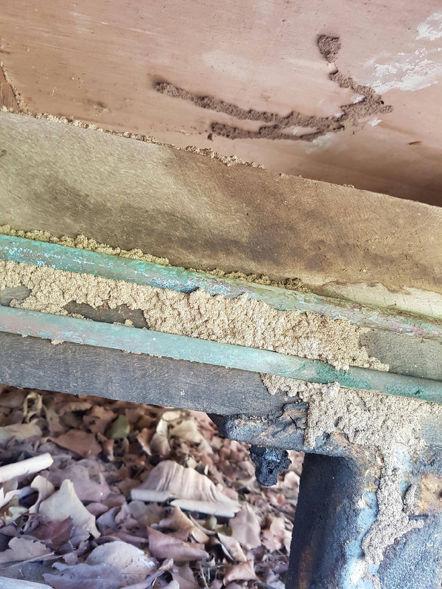 J & B Pest Control - Cover photo