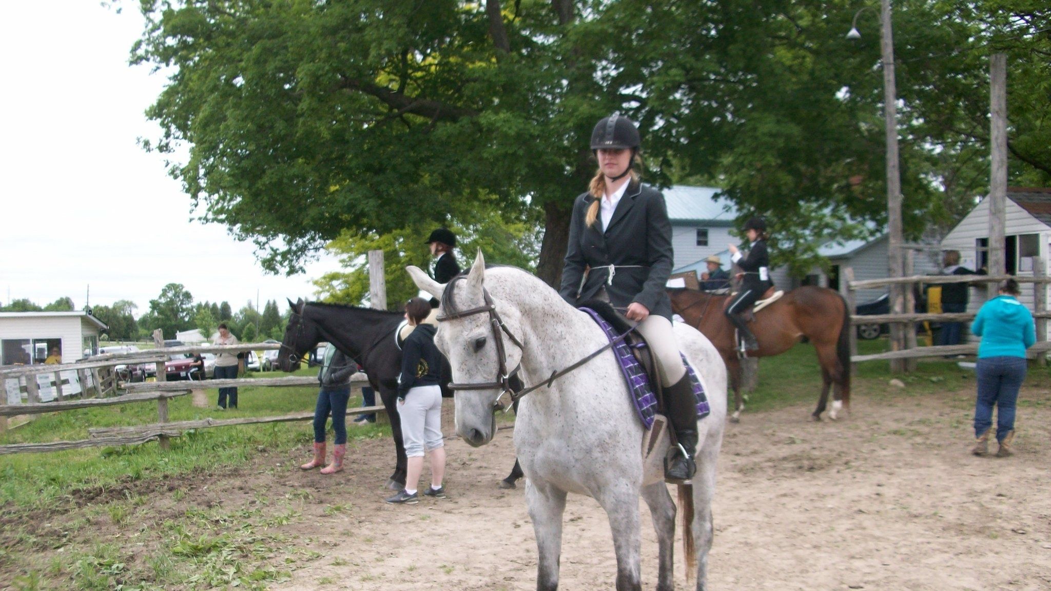 Jenn&s;s Coaching and Training - Cover photo
