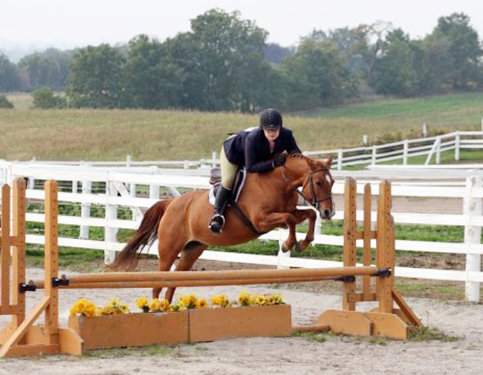 JL Equestrian Centre Inc. - Logo