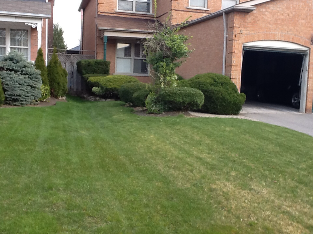 JL Landscaping And Tree Services - Cover photo