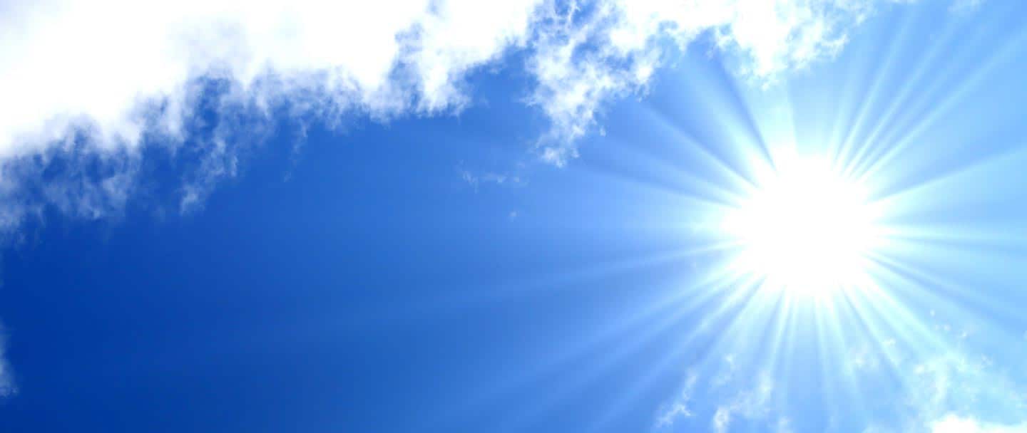 Joan Owen - Cover photo