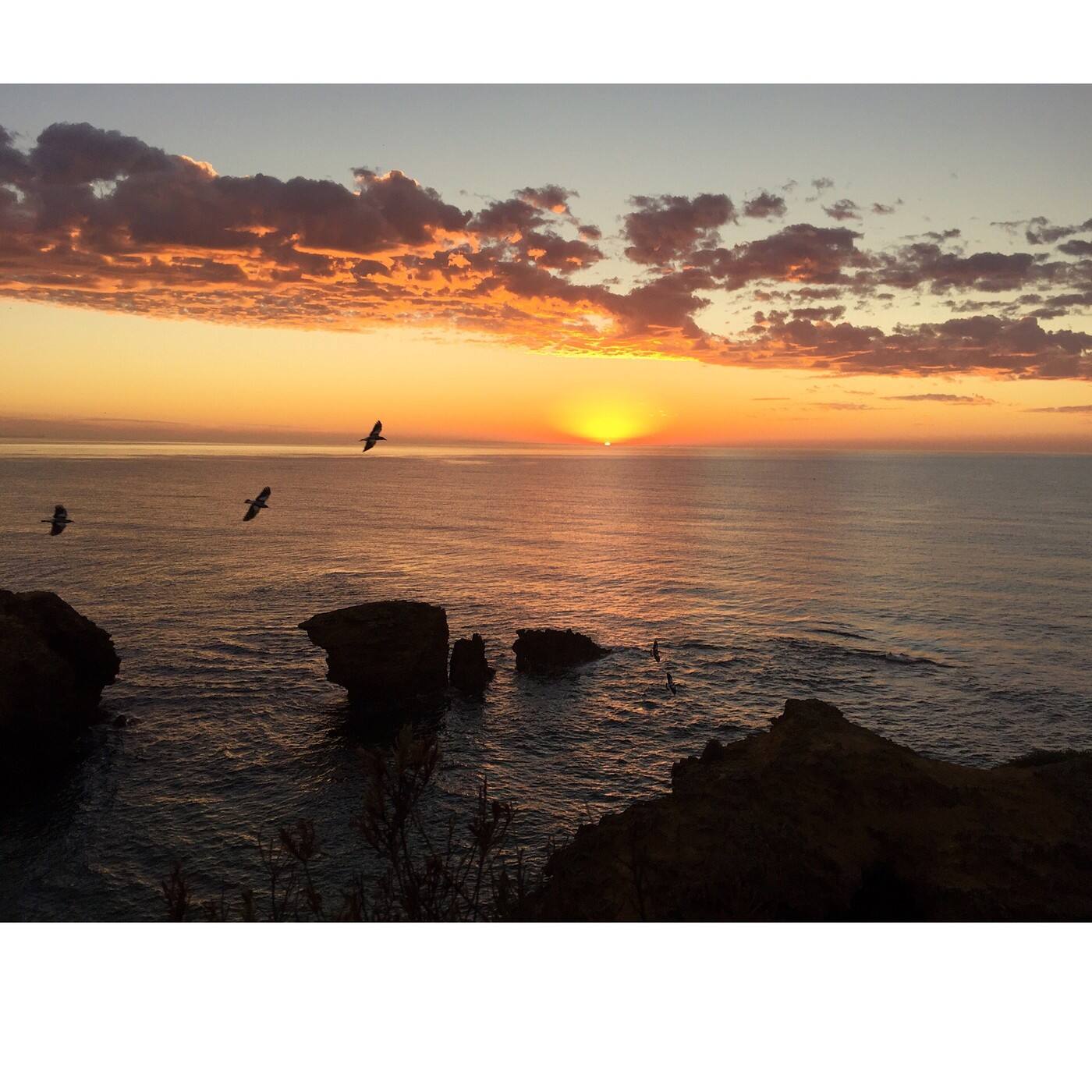 Joni Anderson Photography - Cover photo