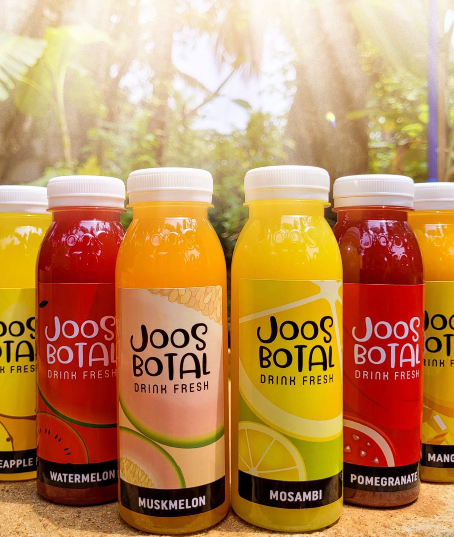 Joos Botal - Logo