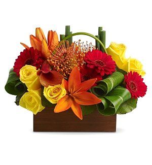 Jo Ro Flowers - Cover photo