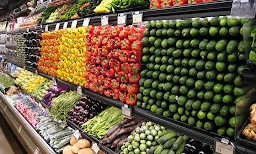Joy Guru Bhander - Cover photo