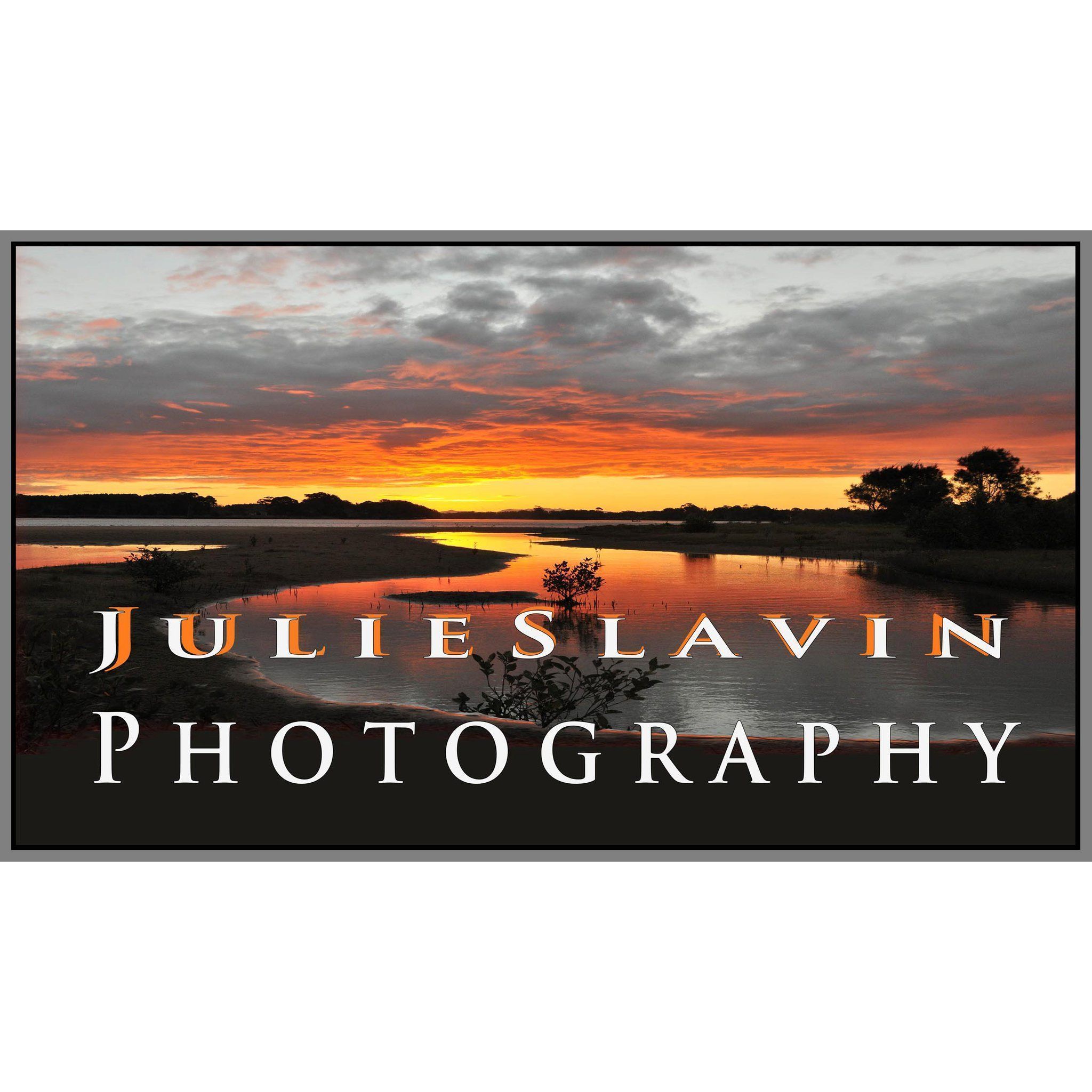 Julie Slavin Photography - Logo
