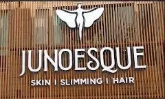 Junoesque - Cover photo