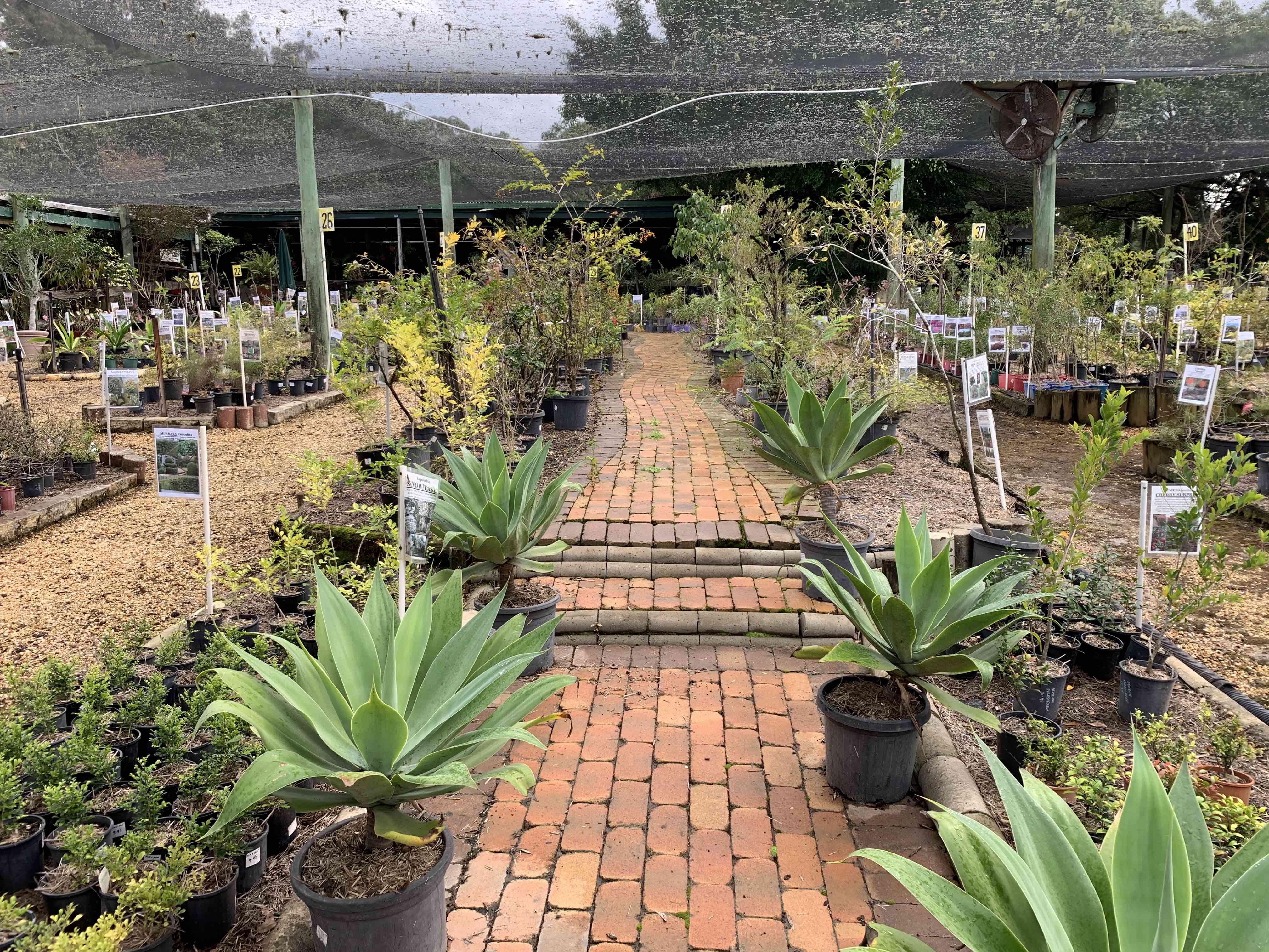 Junction Hill Nursery - Logo