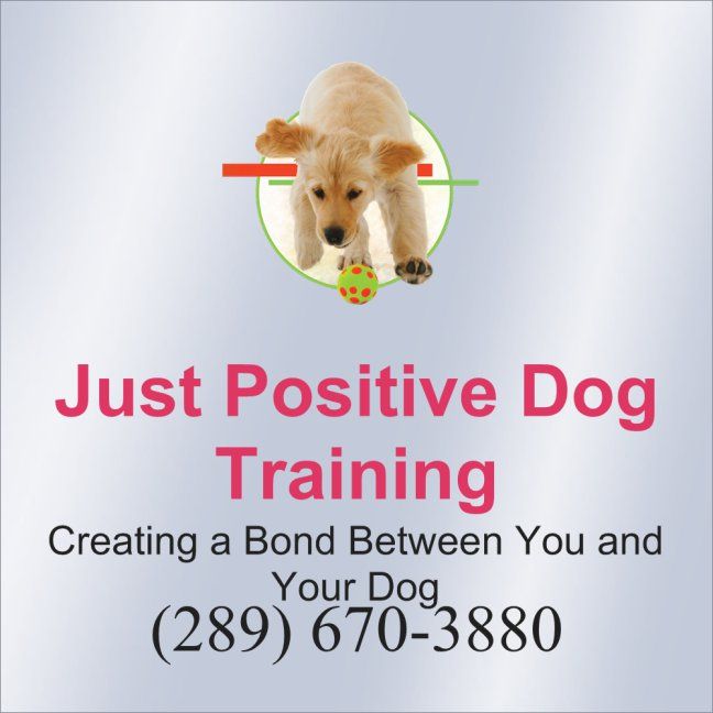 Just Positive Dog Training - Cover photo