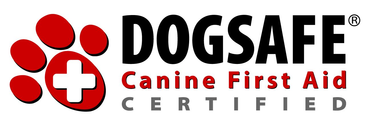 K9 Healthy Smiles - Cover photo