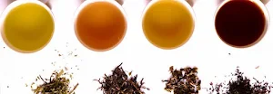 Kaapi Katte - Cover photo