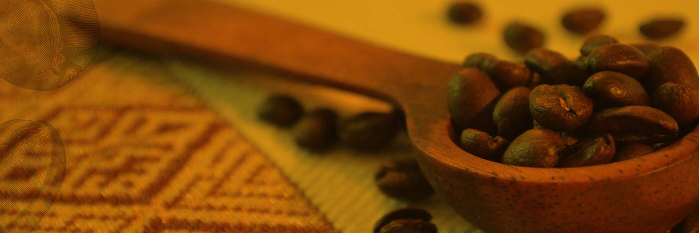 Kaapi Kaapi Pty Ltd - Cover photo