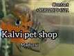 Kalvi Pet Shop - Logo