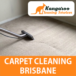 Kangaroo Carpet Cleaning Brisbane - Logo