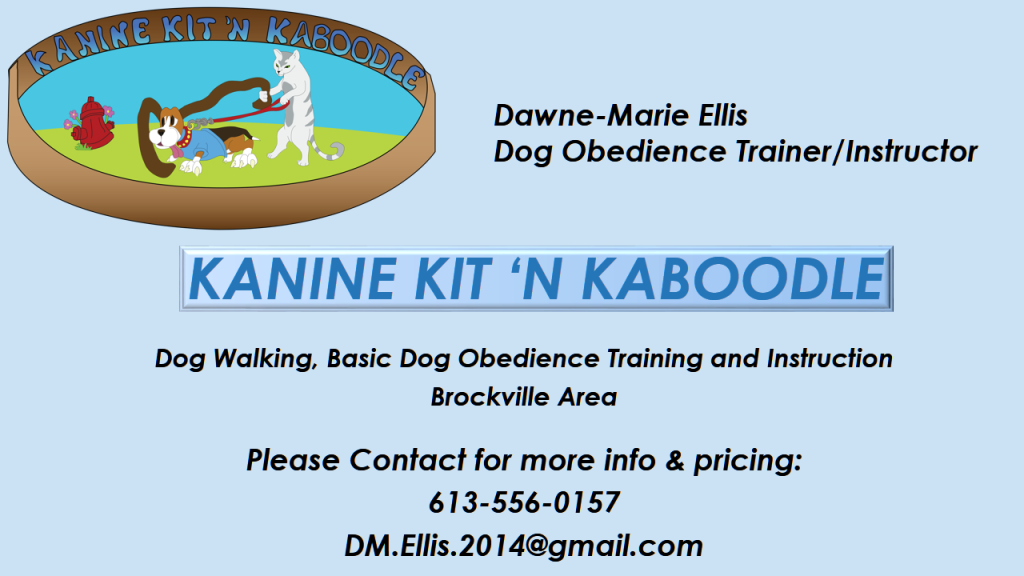 Kanine Kit &s;n Kaboodle - Logo
