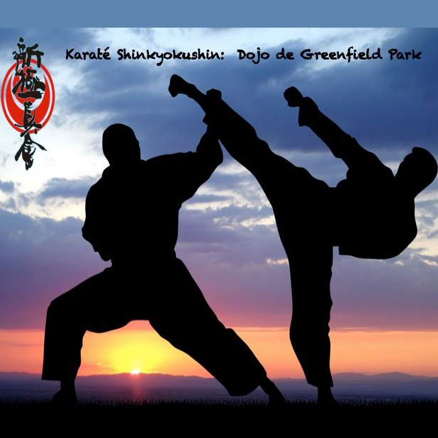 Karate Shinkyokushin - Logo