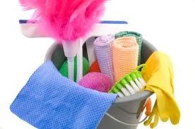 Kawartha Girls Cleaning Service - Logo