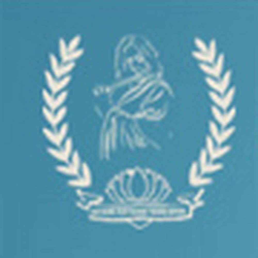 Kazi Najrul Islam Teachers Training Institute (KNITTI) - Logo