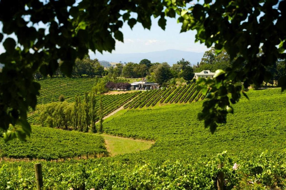 Kellybrook Winery - Logo