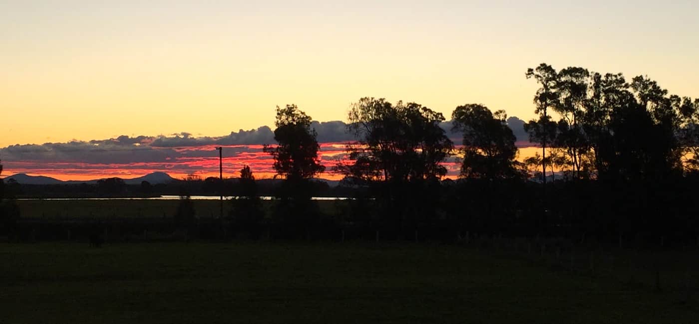 Kempsey Macleay Bird Club - Logo