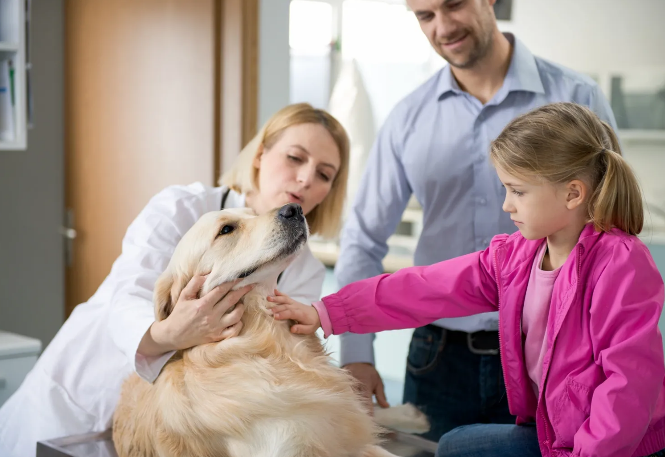 Kempsey Veterinary Hospital - Logo