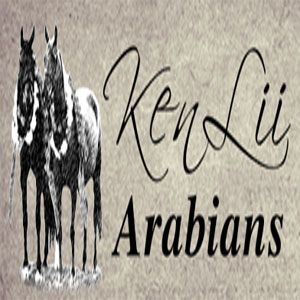 KenLii Arabians Ltd - Logo