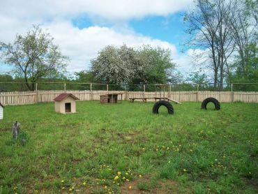 Kennel Land - Cover photo