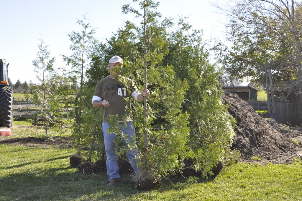 Kentucky Mountain Acres - Cover photo