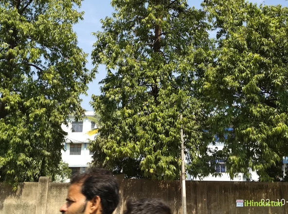 Kerala Public School- Mango - Logo